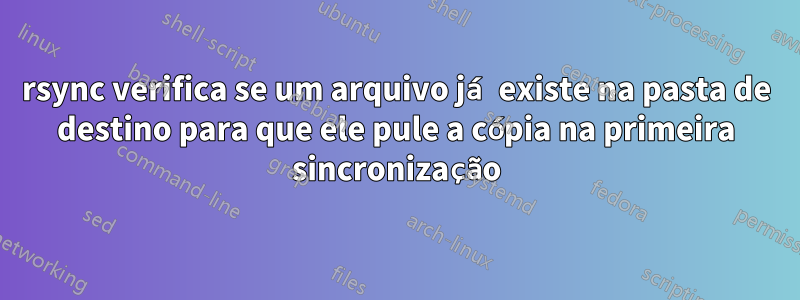 rsync verifica se um arquivo já existe na pasta de destino para que ele pule a cópia na primeira sincronização