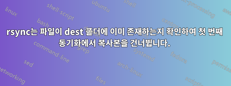 rsync는 파일이 dest 폴더에 이미 존재하는지 확인하여 첫 번째 동기화에서 복사본을 건너뜁니다.