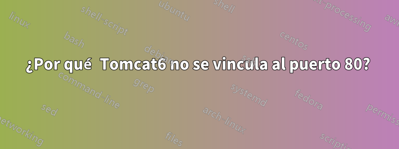 ¿Por qué Tomcat6 no se vincula al puerto 80?