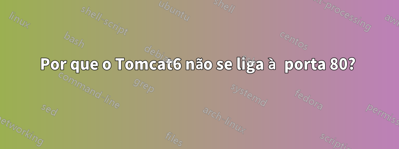 Por que o Tomcat6 não se liga à porta 80?