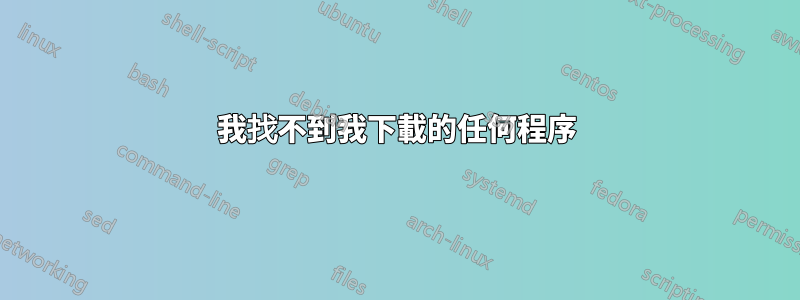 我找不到我下載的任何程序