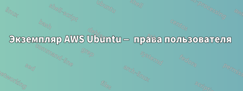 Экземпляр AWS Ubuntu — права пользователя