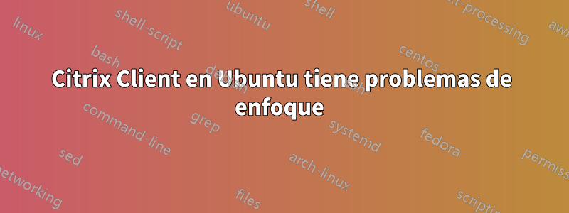 Citrix Client en Ubuntu tiene problemas de enfoque 