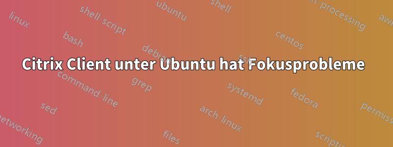 Citrix Client unter Ubuntu hat Fokusprobleme 