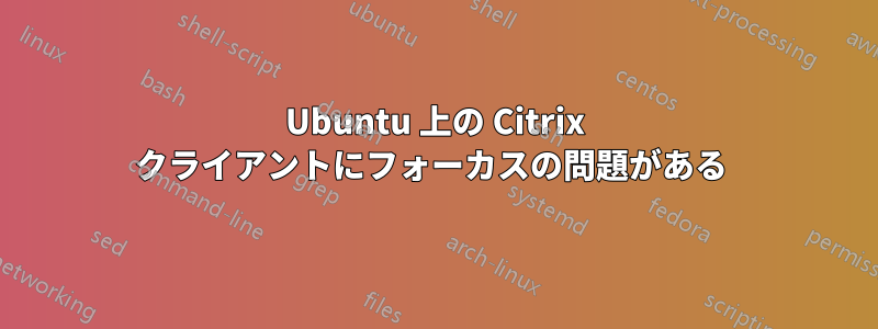 Ubuntu 上の Citrix クライアントにフォーカスの問題がある 