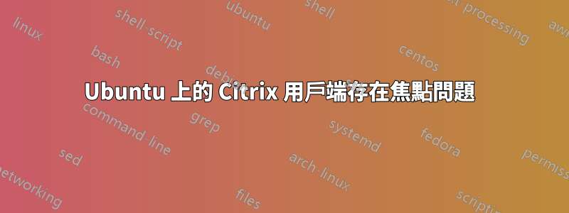 Ubuntu 上的 Citrix 用戶端存在焦點問題 