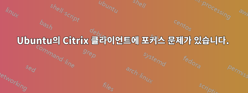 Ubuntu의 Citrix 클라이언트에 포커스 문제가 있습니다.