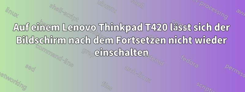 Auf einem Lenovo Thinkpad T420 lässt sich der Bildschirm nach dem Fortsetzen nicht wieder einschalten