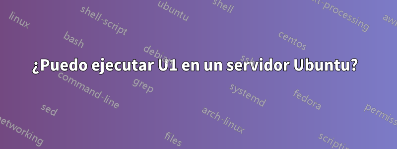 ¿Puedo ejecutar U1 en un servidor Ubuntu? 