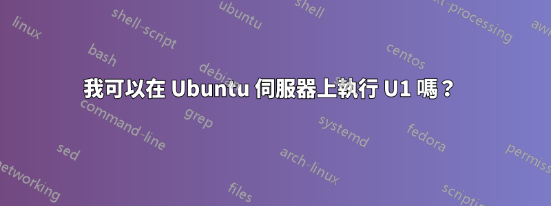 我可以在 Ubuntu 伺服器上執行 U1 嗎？ 