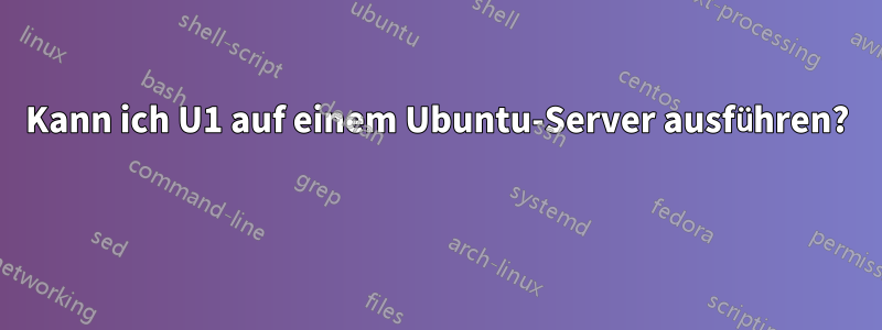 Kann ich U1 auf einem Ubuntu-Server ausführen? 