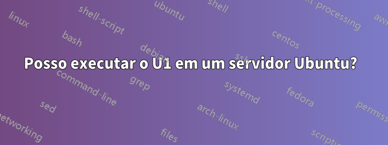 Posso executar o U1 em um servidor Ubuntu? 