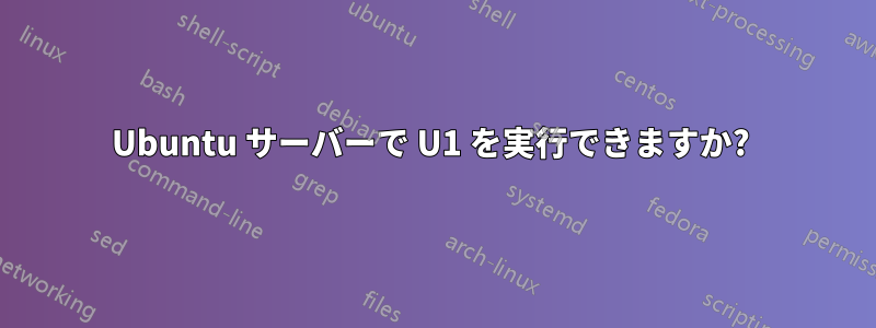 Ubuntu サーバーで U1 を実行できますか? 