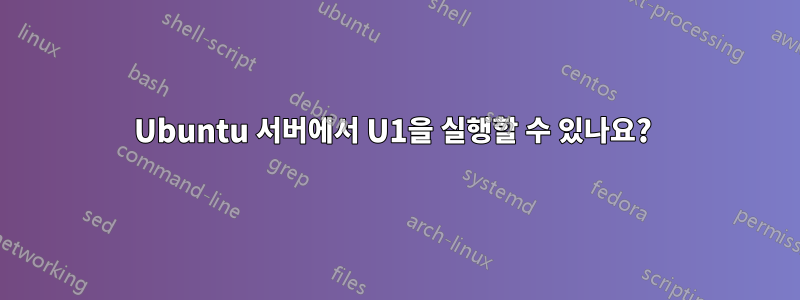 Ubuntu 서버에서 U1을 실행할 수 있나요? 