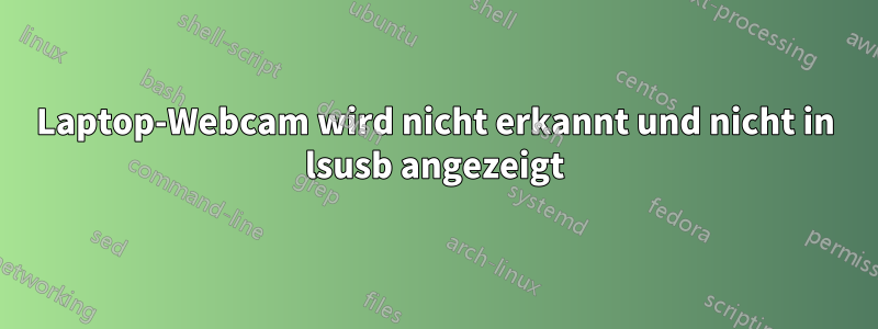 Laptop-Webcam wird nicht erkannt und nicht in lsusb angezeigt