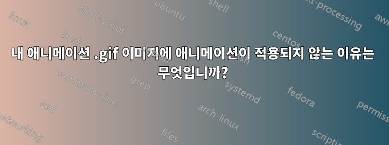 내 애니메이션 .gif 이미지에 애니메이션이 적용되지 않는 이유는 무엇입니까?