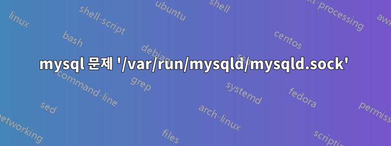 mysql 문제 '/var/run/mysqld/mysqld.sock'