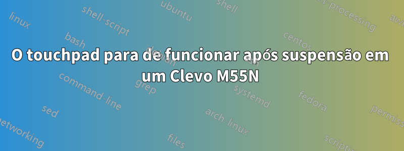 O touchpad para de funcionar após suspensão em um Clevo M55N