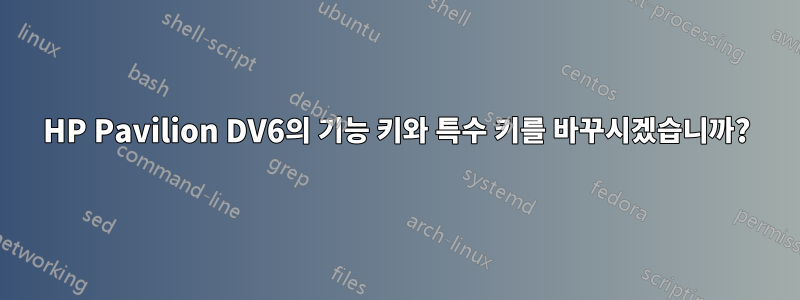 HP Pavilion DV6의 기능 키와 특수 키를 바꾸시겠습니까?