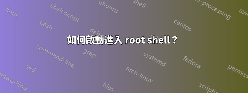 如何啟動進入 root shell？