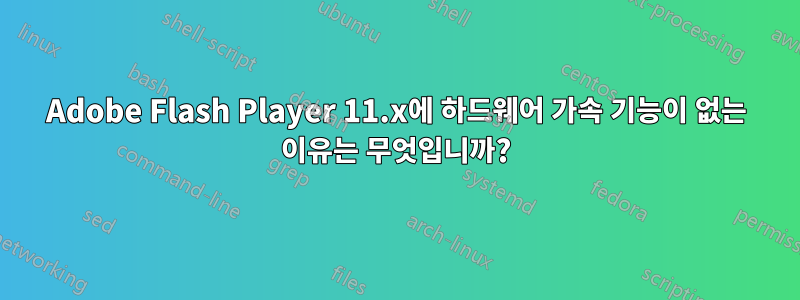 Adobe Flash Player 11.x에 하드웨어 가속 기능이 없는 이유는 무엇입니까?