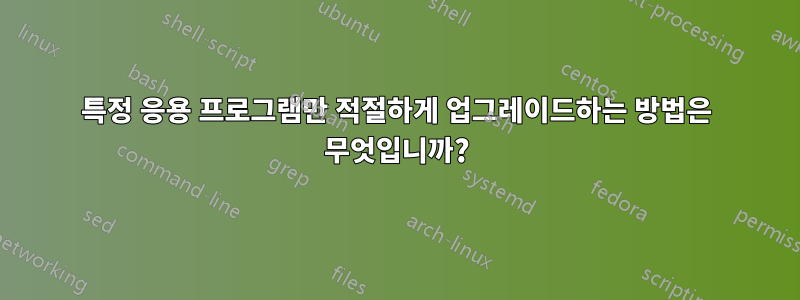 특정 응용 프로그램만 적절하게 업그레이드하는 방법은 무엇입니까?