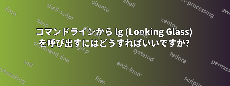 コマンドラインから lg (Looking Glass) を呼び出すにはどうすればいいですか?