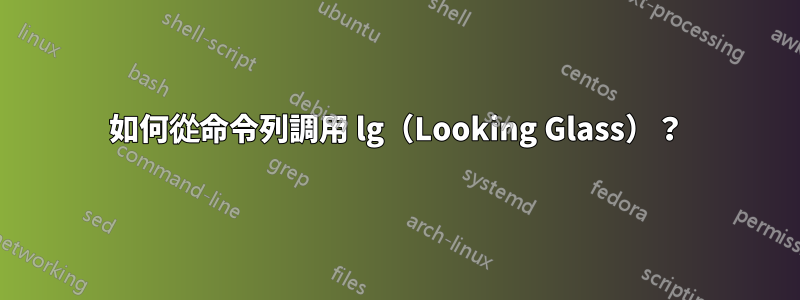 如何從命令列調用 lg（Looking Glass）？