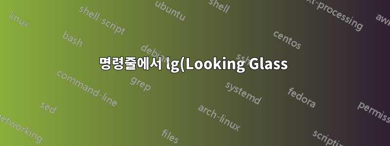 명령줄에서 lg(Looking Glass)를 어떻게 호출할 수 있나요?