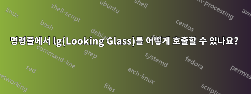 명령줄에서 lg(Looking Glass)를 어떻게 호출할 수 있나요?