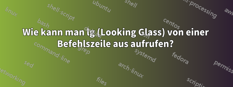 Wie kann man lg (Looking Glass) von einer Befehlszeile aus aufrufen?