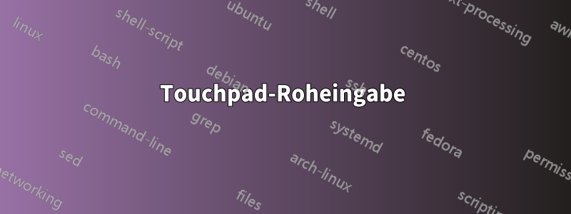 Touchpad-Roheingabe