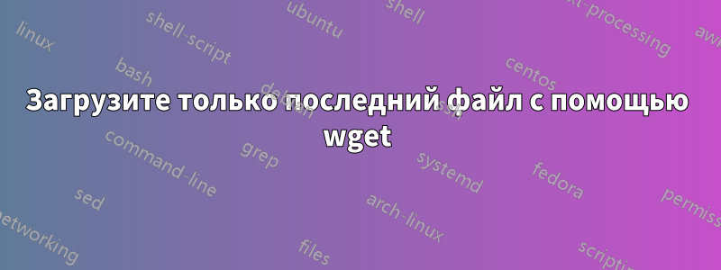 Загрузите только последний файл с помощью wget