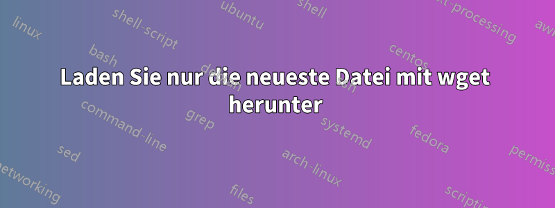 Laden Sie nur die neueste Datei mit wget herunter