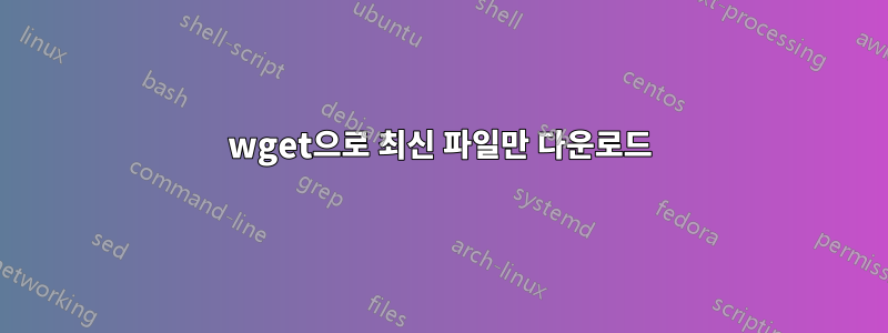 wget으로 최신 파일만 다운로드