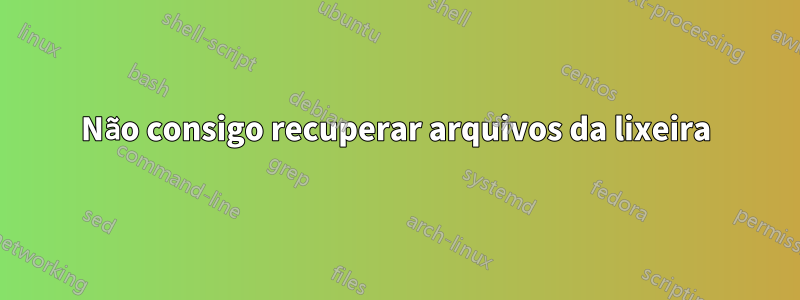 Não consigo recuperar arquivos da lixeira