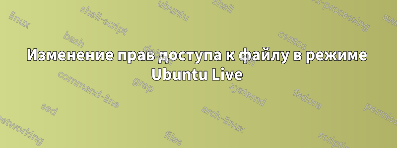 Изменение прав доступа к файлу в режиме Ubuntu Live