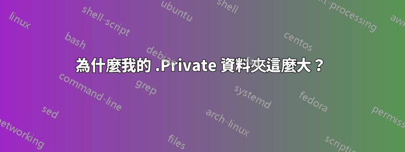 為什麼我的 .Private 資料夾這麼大？