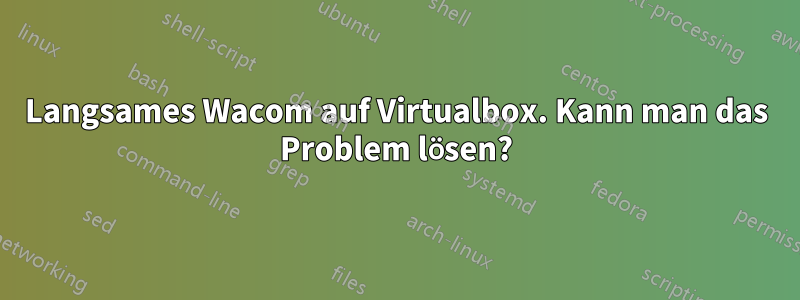 Langsames Wacom auf Virtualbox. Kann man das Problem lösen?