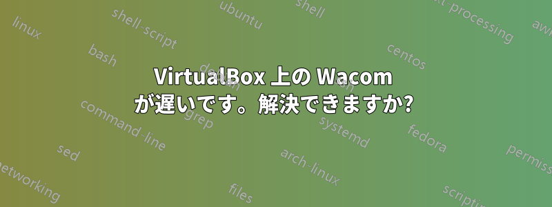 VirtualBox 上の Wacom が遅いです。解決できますか?