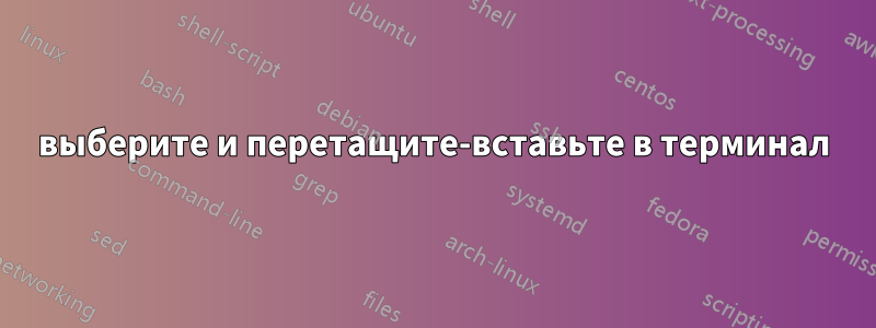 выберите и перетащите-вставьте в терминал