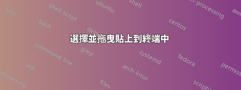 選擇並拖曳貼上到終端中