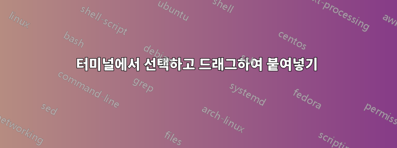 터미널에서 선택하고 드래그하여 붙여넣기