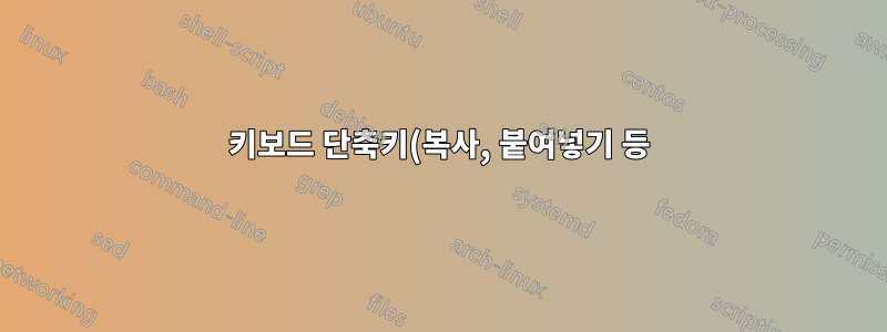 키보드 단축키(복사, 붙여넣기 등)를 Ctrl 대신 Alt 키로 다시 매핑