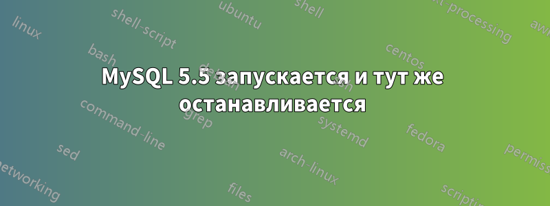 MySQL 5.5 запускается и тут же останавливается