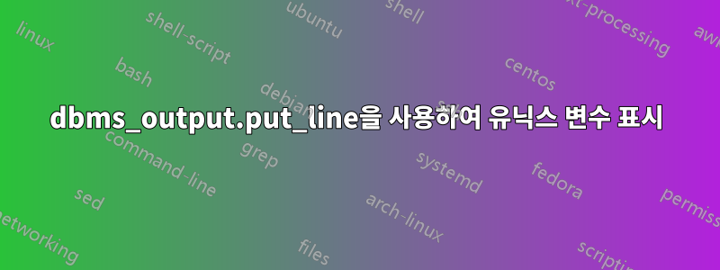dbms_output.put_line을 사용하여 유닉스 변수 표시