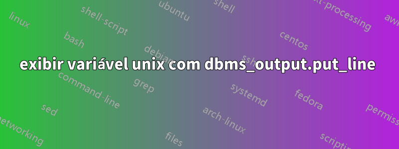 exibir variável unix com dbms_output.put_line