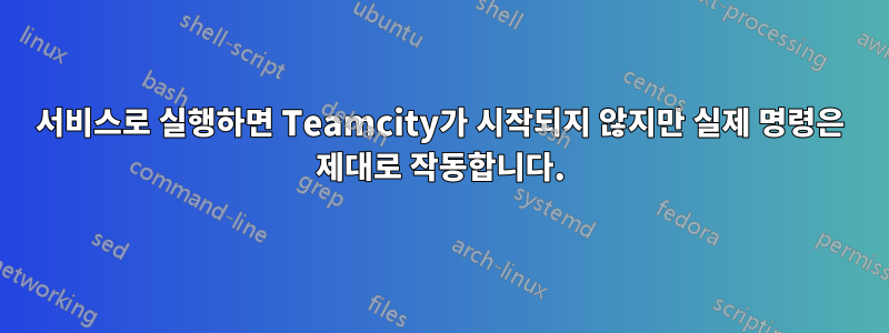 서비스로 실행하면 Teamcity가 시작되지 않지만 실제 명령은 제대로 작동합니다.