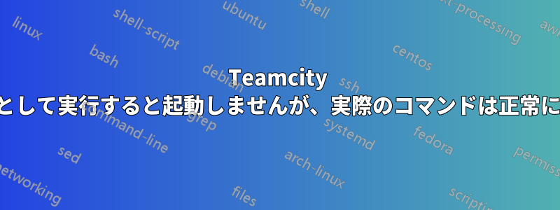 Teamcity はサービスとして実行すると起動しませんが、実際のコマンドは正常に動作します