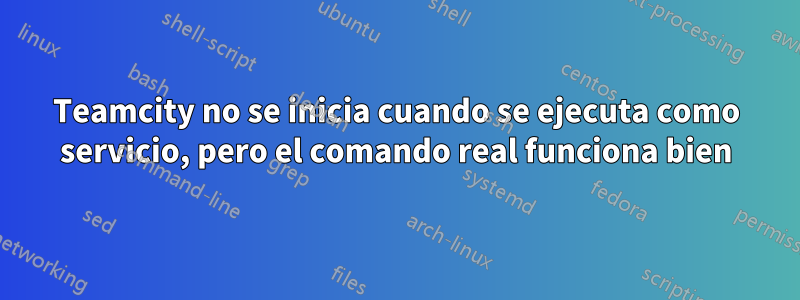 Teamcity no se inicia cuando se ejecuta como servicio, pero el comando real funciona bien